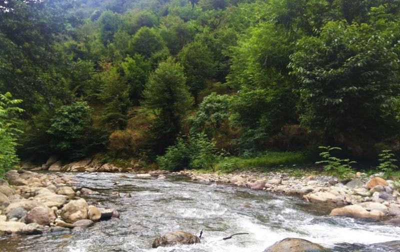 رودخانه خالکایی