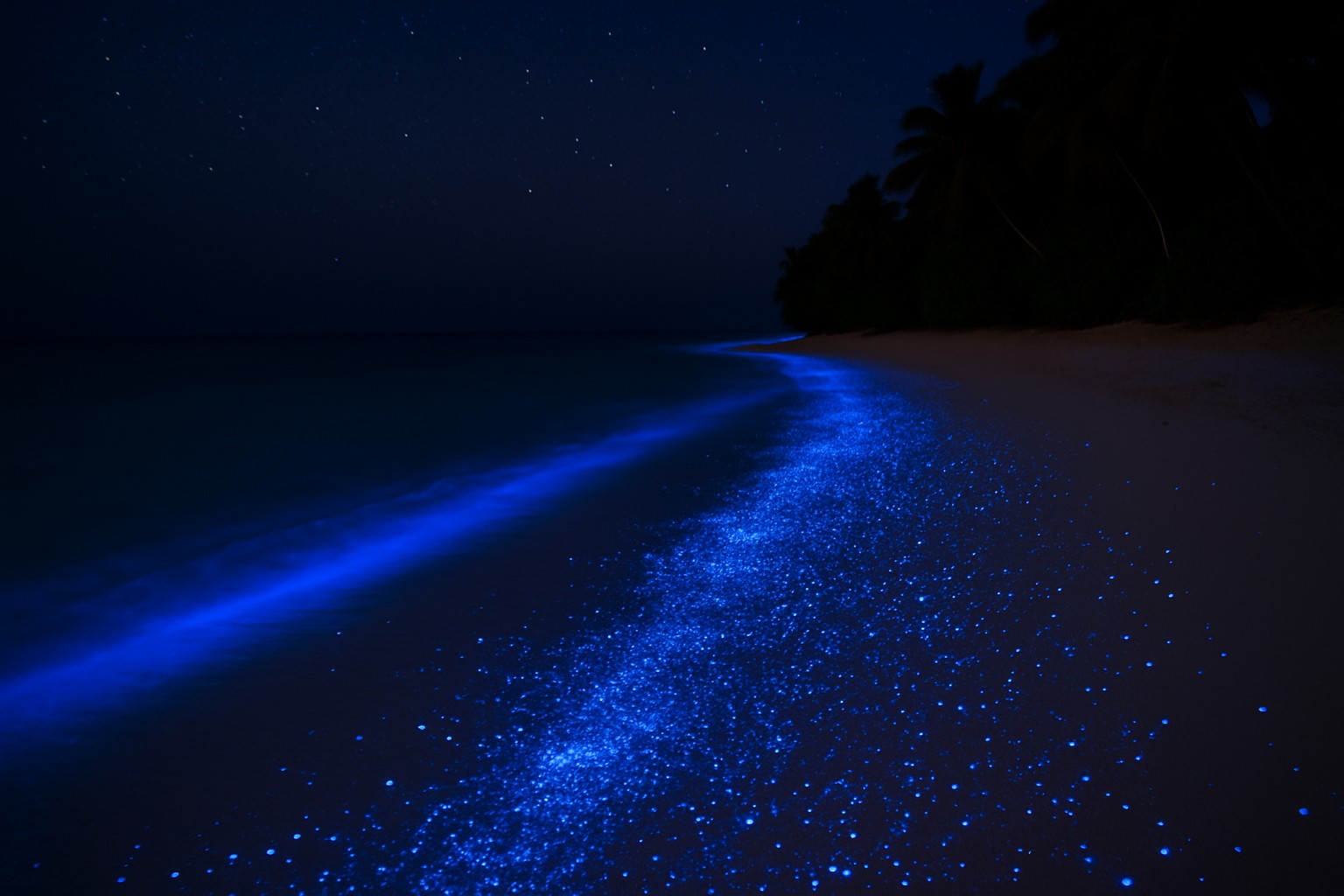 ساحل درخشان وادهو مالدیو (Vaadhoo Island, Maldives)