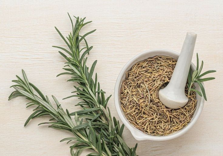 رزماری؛ راز گیاهی برای حافظه و مبارزه با آلزایمر 3