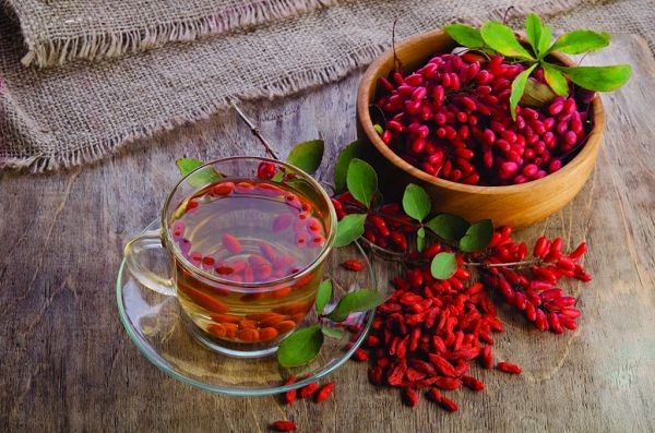 زرشک: سرشار از ویتامین C و آنتی‌اکسیدان؛ مفید برای تقویت کبد و تنظیم چربی خون
