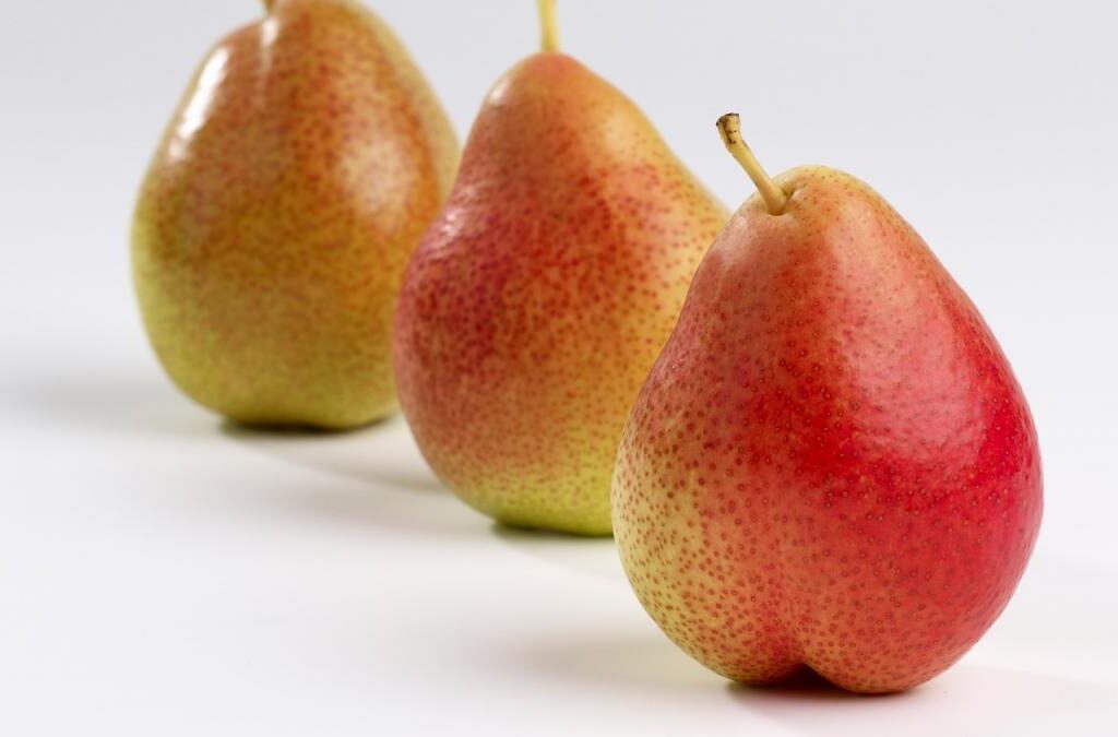 چین، قهرمان بی‌رقیب تولید گلابی در جهان 1
