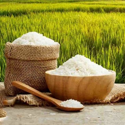 روند نزولی قیمت برنج شمال آغاز شد