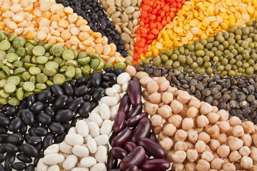 ban-on-legume-export-1404