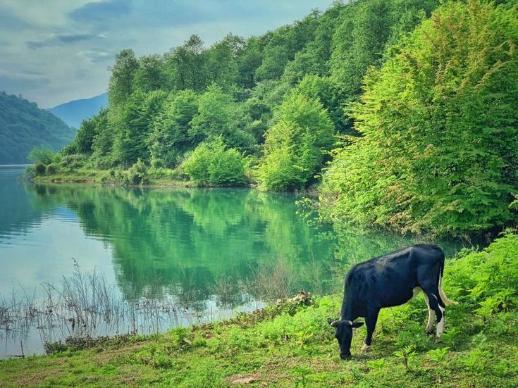 سفر یک‌روزه به فیلبند؛ بهشت بالای ابرها