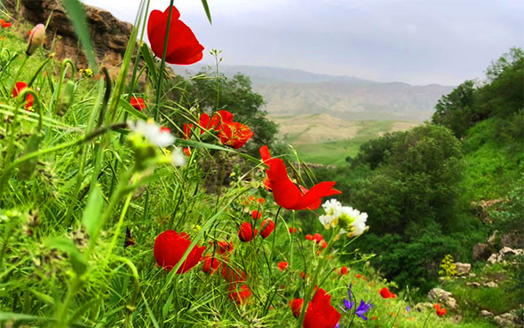 سفر خنک تابستانی به دره شمخال؛ جایی میان کوه و آب 4