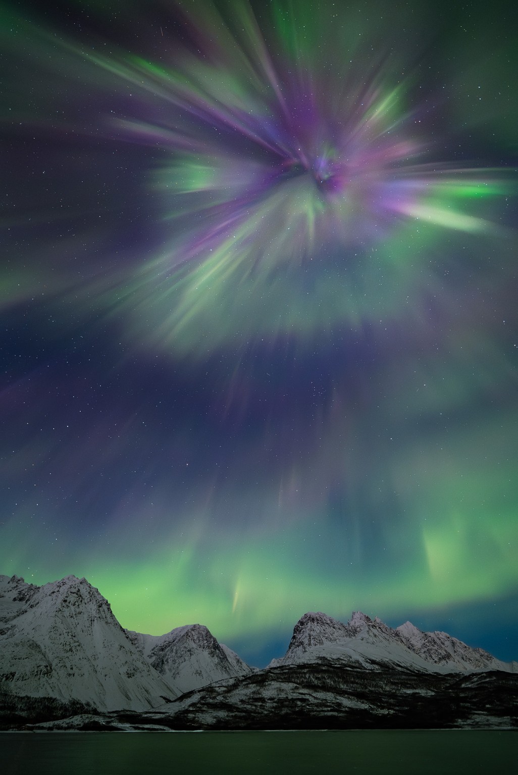 رقص شفق قطبی در آسمان، با نام «The Arctic Flower» از Vincent Beudez
