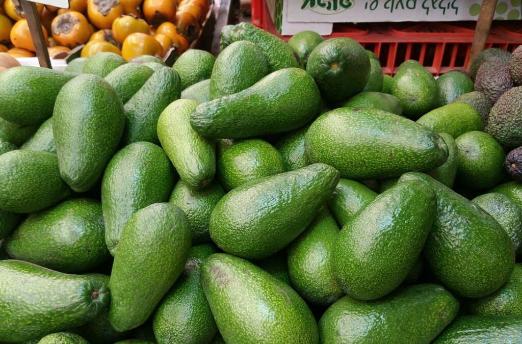 مکزیک؛ فرمانروای طلای سبز جهان 2
