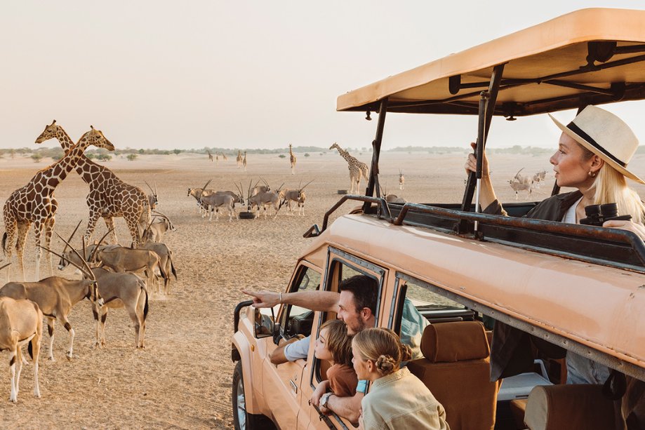 ملاقات با حیات‌وحش در جزیره Sir Bani Yas