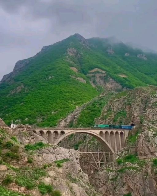 قطار، چای و جنگل مه‌آلود؛ سفر با قطار جنگلی سوادکوه